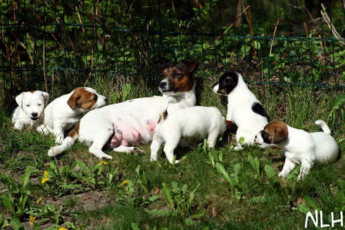 110521_lauma aidalla.jpg - Sunbathing